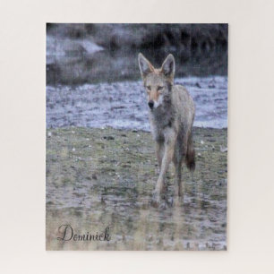 Puzzles Coyote