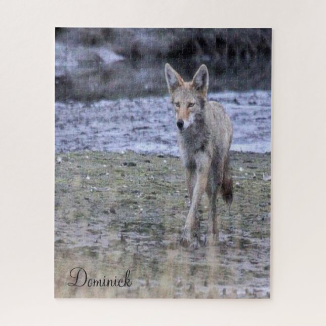 Puzzles Coyote (Vertical)