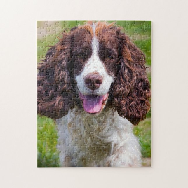 Puzzles de chien Springer Spaniel. (Vertical)