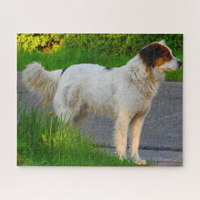 Puzzles de chien Tornjak. (Horizontal)