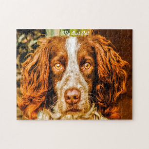 Puzzles de chiens Springer Spaniel.
