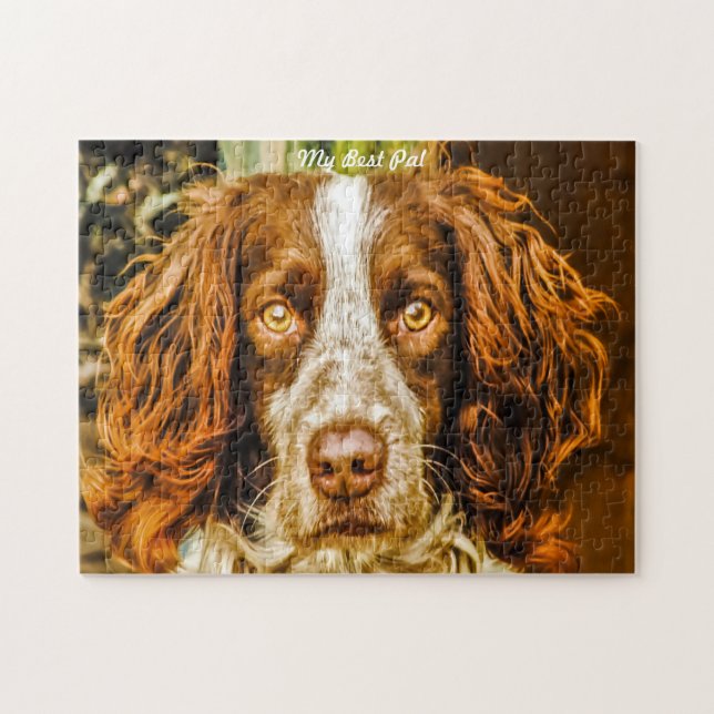 Puzzles de chiens Springer Spaniel. (Horizontal)