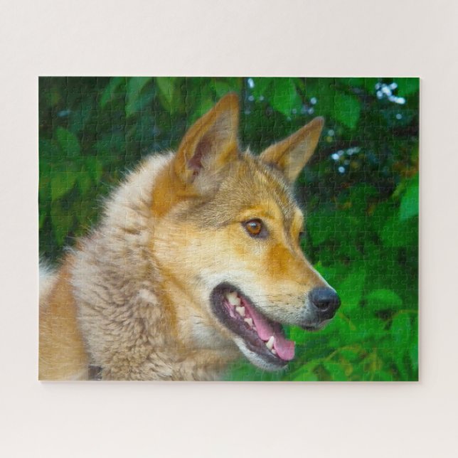 Puzzles de la chienne Laïka. (Horizontal)