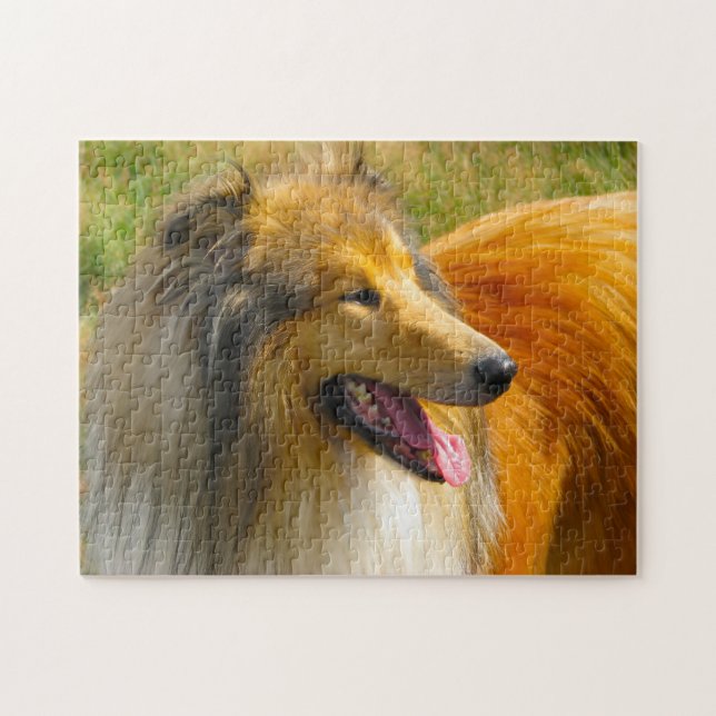 Puzzles de Rough Collie. (Horizontal)
