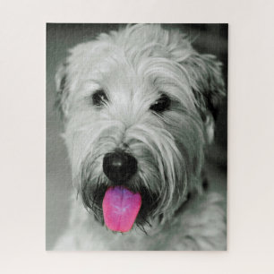 Puzzles de Terrier Irlandais.