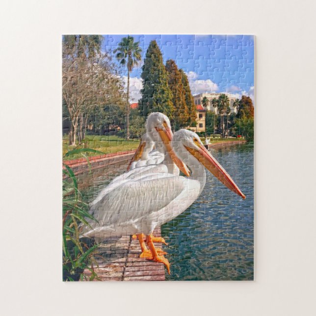Puzzles des Pélicans de Floride. (Vertical)