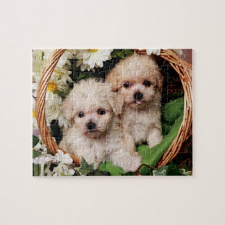 Puzzles mignons de chiot