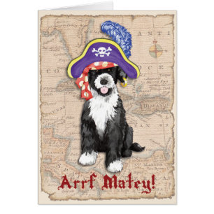 PWD Pirate Card