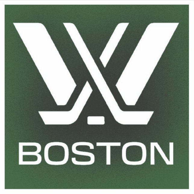 PWHL Boston Hockey Logo (Front)