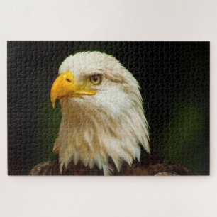 Pygargue à tête blanche Oiseau de Proie. Puzzle