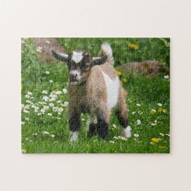 Pygmy Dwarf Goat Kid in Flowers Jigsaw Puzzle (Horizontal)