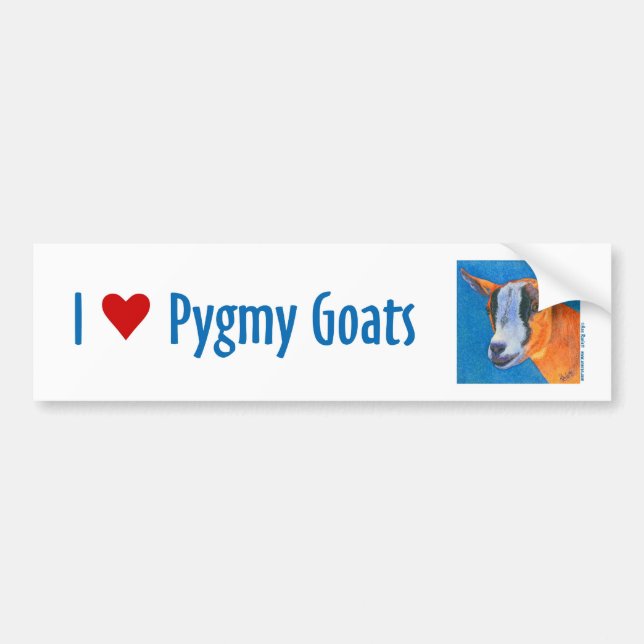 Pygmy Goat Bumper Sticker (Front)