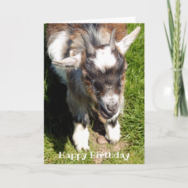 PYGMY GOAT CARD (Front)