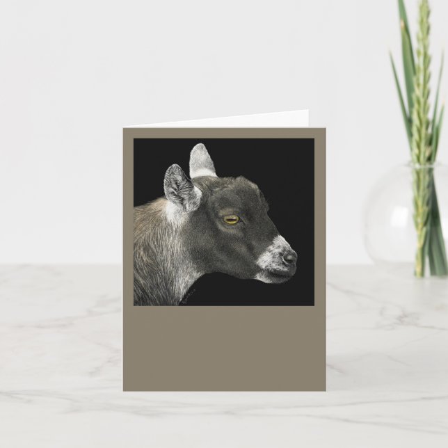 Pygmy Goat Card - "Show Goat" (Front)