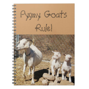 Pygmy Goat Family Notebook