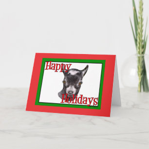 Pygmy Goat Holiday Christmas Card