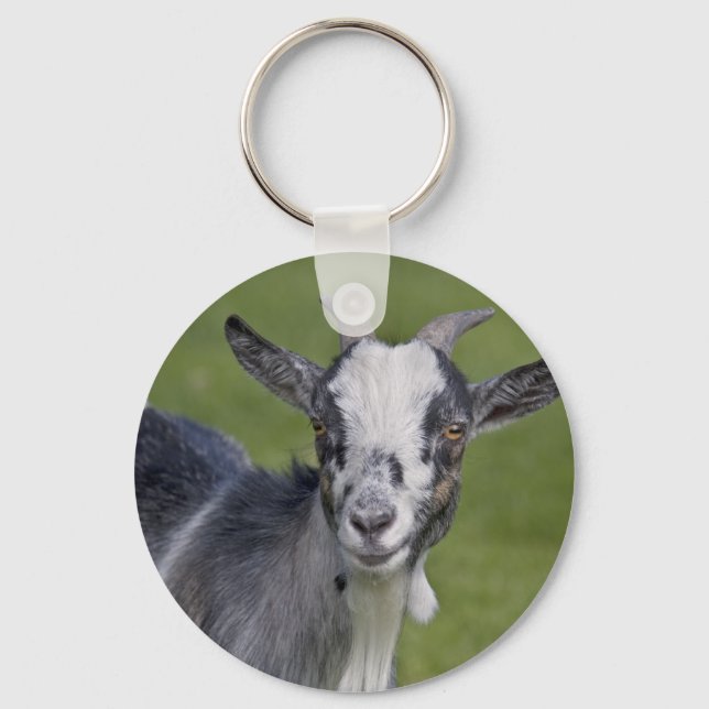 Pygmy Goat Keyring (Front)