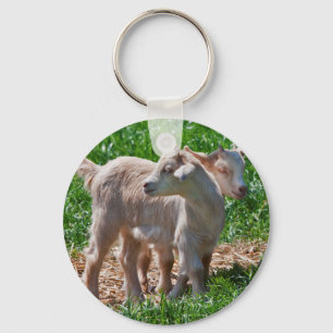 Pygmy Goat Kids Keyring