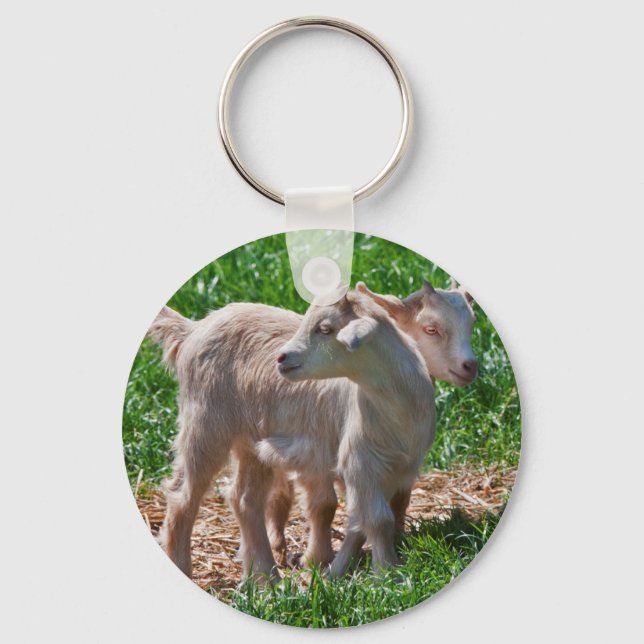Pygmy Goat Kids Keyring (Front)