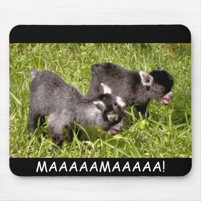 Pygmy goat kids. MAAAAAMAAAAA! mouse pad (Front)