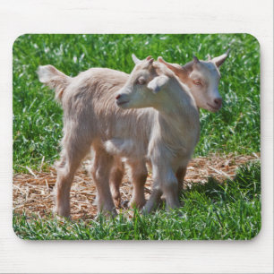 Pygmy Goat Kids Mousemat Mouse Pad