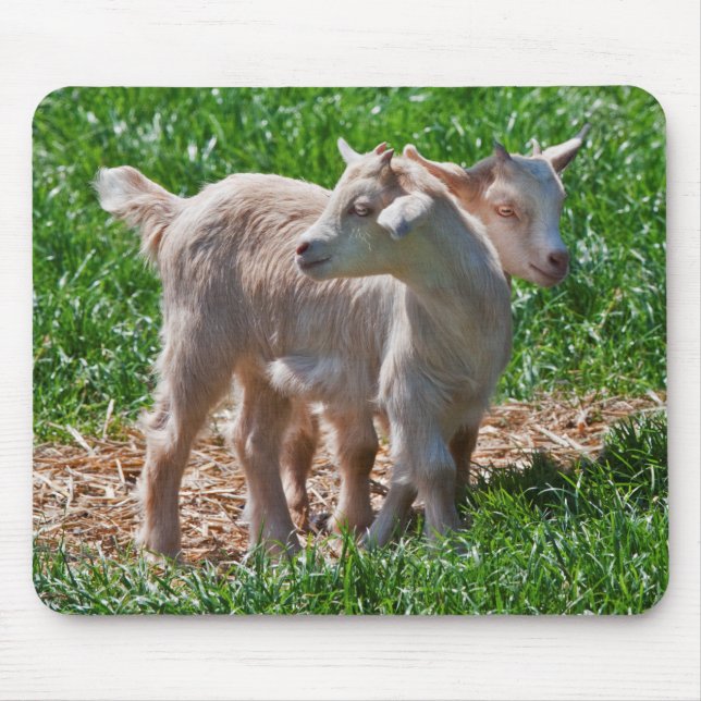 Pygmy Goat Kids Mousemat Mouse Pad (Front)
