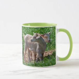 Pygmy Goat Kids Mug