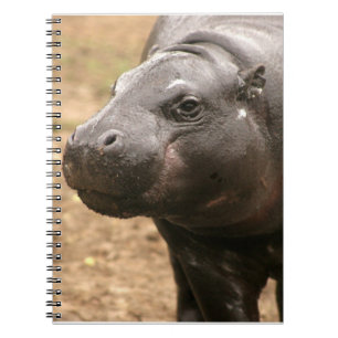 Pygmy Hippo Notebook