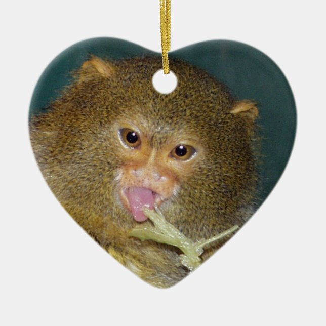 Pygmy Marmoset Christmas Ornament (Front)