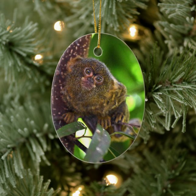 Pygmy Marmoset Magic Ceramic Ornament (Tree)