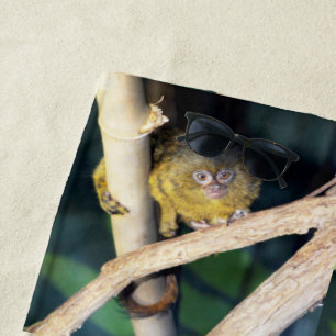 Pygmy Marmoset Tree Hugger, Beach Towel