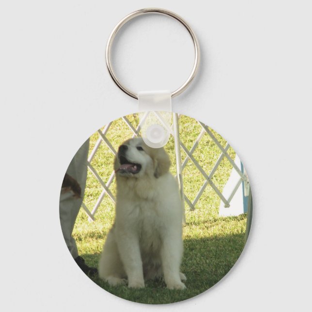 Pyr Puppy Keychain (Front)