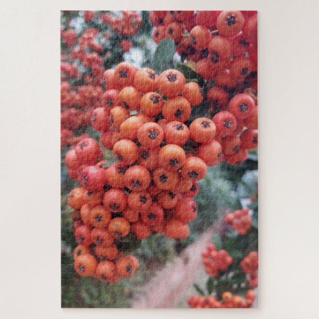 Pyracantha coccinea - Fire Horns Puzzle (Vertical)