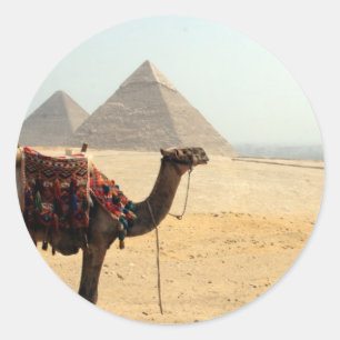 pyramid camel classic round sticker