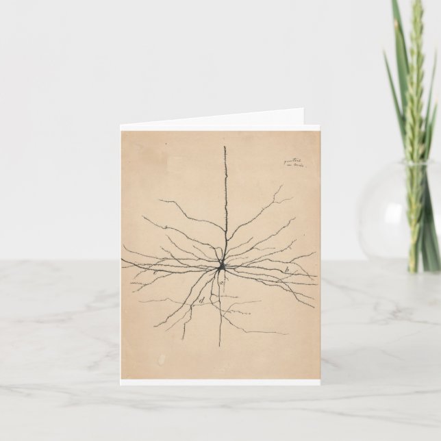 Pyramida Neuron Drawing By Santiago Ramón Y Cajal Card (Front)