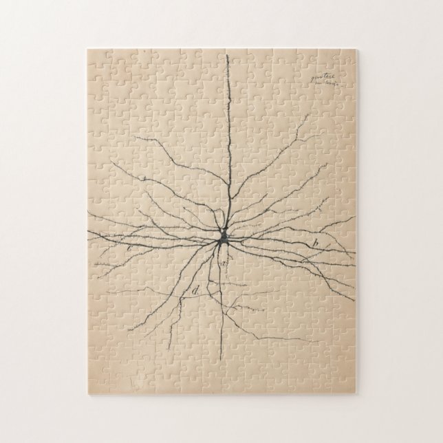 Pyramida Neuron Drawing By Santiago Ramón Y Cajal Jigsaw Puzzle (Vertical)