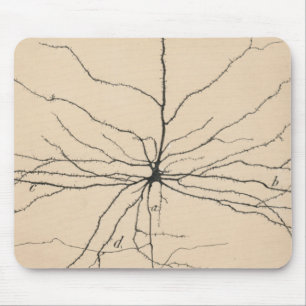 Pyramida Neuron Drawing By Santiago Ramón Y Cajal Mouse Pad