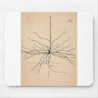 Pyramida Neuron Drawing Santiago Ramon y Cajal