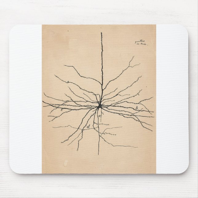 Pyramida Neuron Drawing Santiago Ramon y Cajal Mouse Pad (Front)