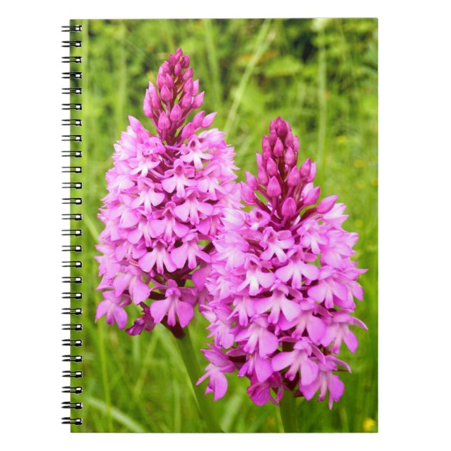 Pyramidal Orchid Spiral Photo Notebook (Front)