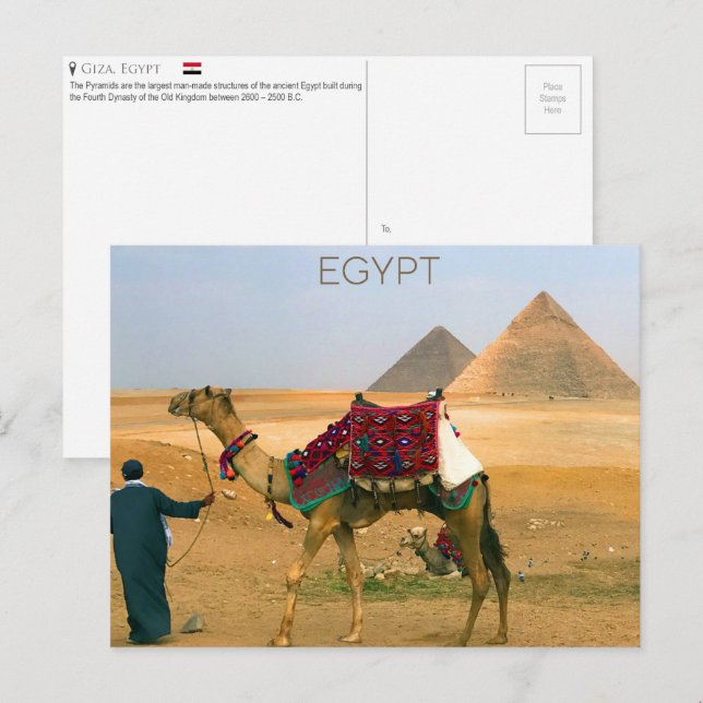 Pyramides de Gizeh, Égypte Carte postale (Devant / Derrière)