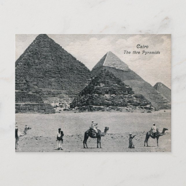 Pyramids and Camels, Cairo Egypt Vintage Postcard (Front)