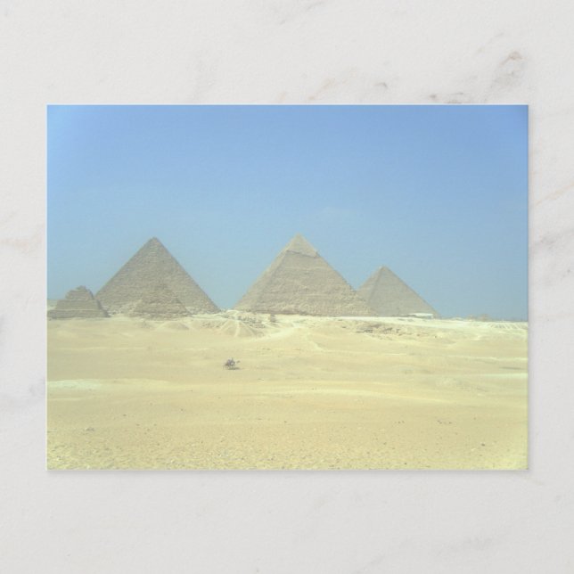 Pyramids, Cairo Postcard (Front)