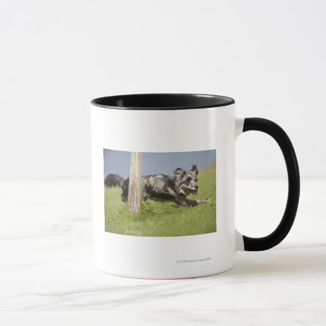 Pyrenean Shepherd goes round the pole Mug (Right)