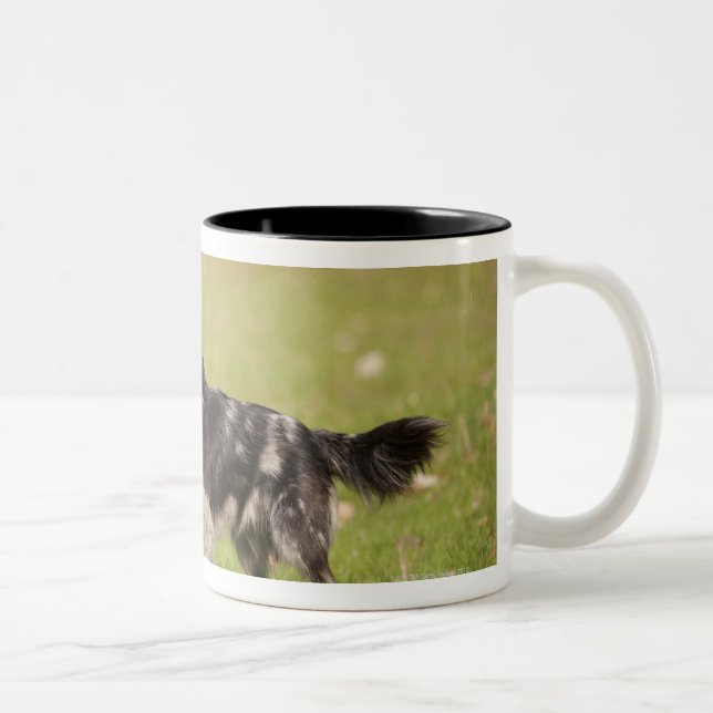 Pyrenean shepherd in alert pose waiting for Two-Tone coffee mug (Right)