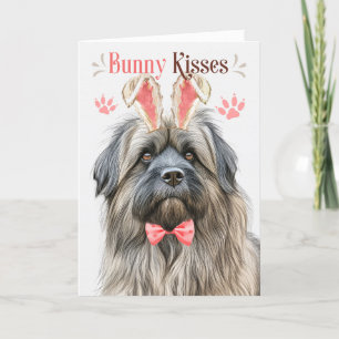 Pyrenean Shepherd in Bunny Ears for Easter Holiday Card