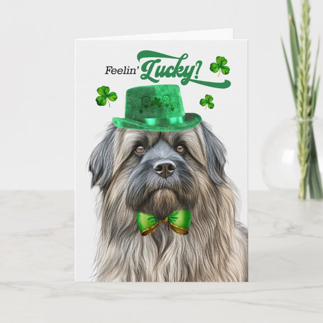 Pyrenean Shepherd Lucky St Patrick's Day Holiday Card (Front)