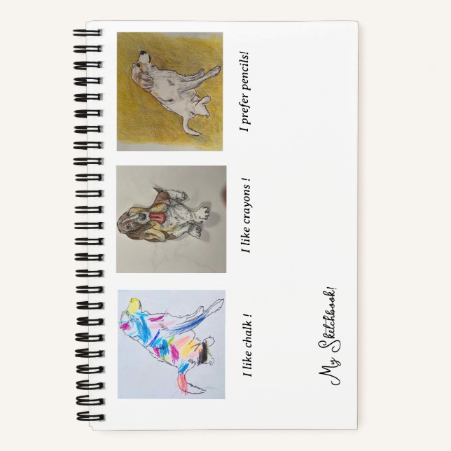 Pyrenees, Bassett Hound Rainbow Dog  Sketchbook Notebook (Front)
