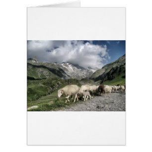 pyrenees landscape