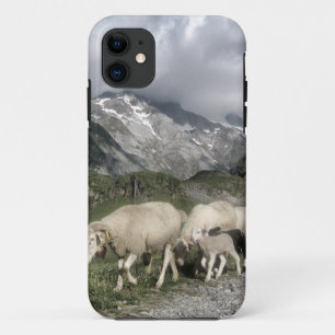 pyrenees landscape iPhone 11 case